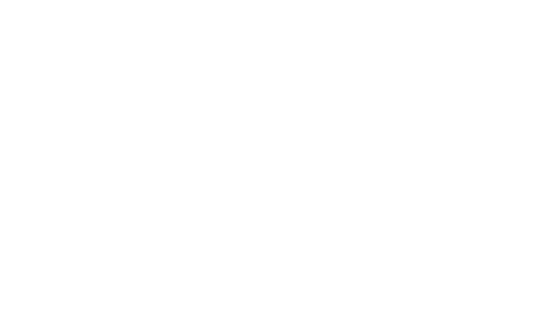 BT AVTO TECHNOLODJY